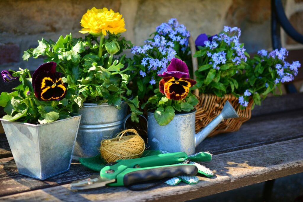 10 Stunning Flower Garden Ideas to Transform Your Outdoor Space